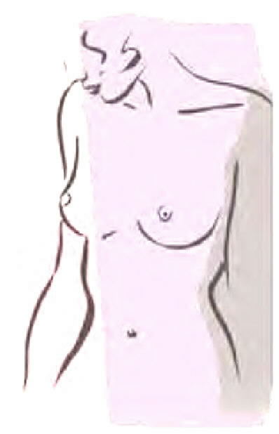 breast.jpg